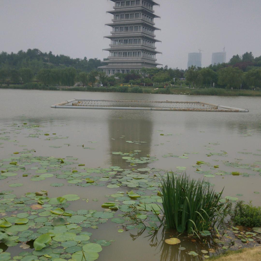 用户165444525785555小飞侠