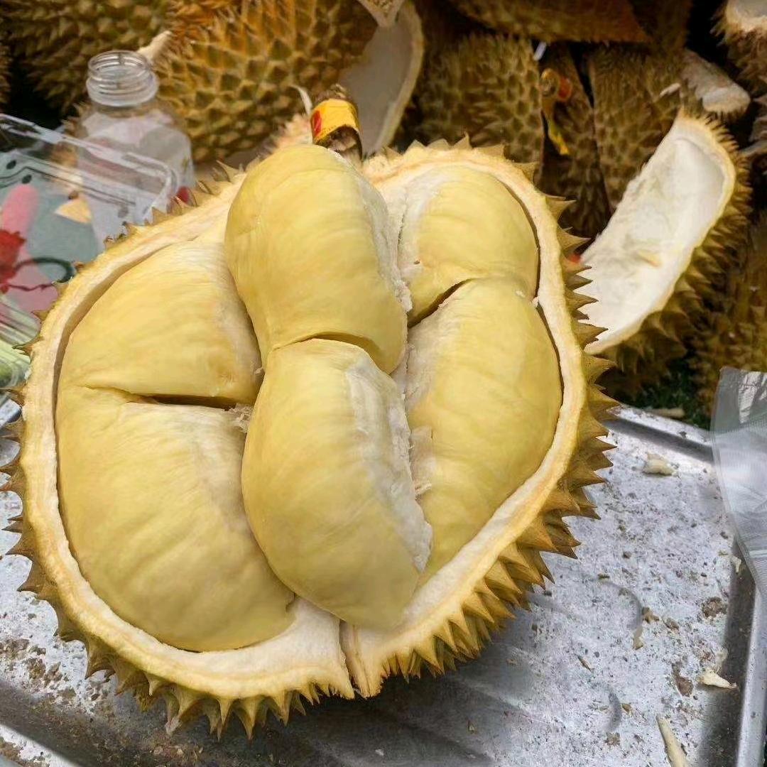 老榴芒