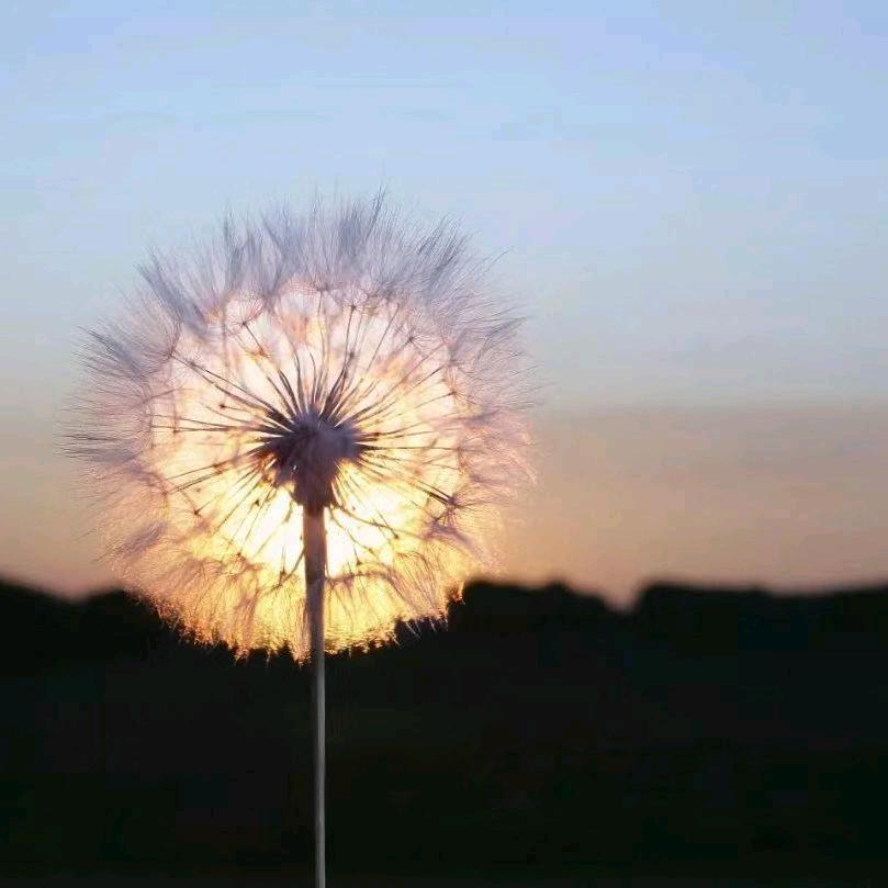 恩天