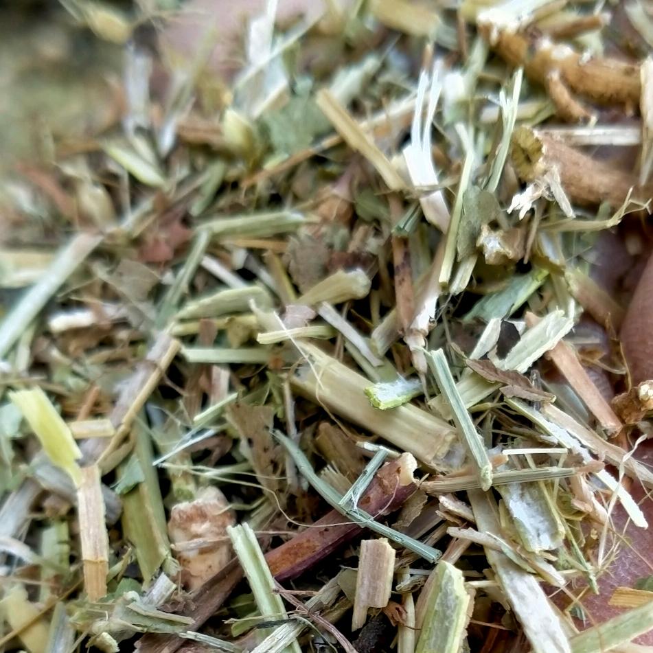 河南鸿源草业