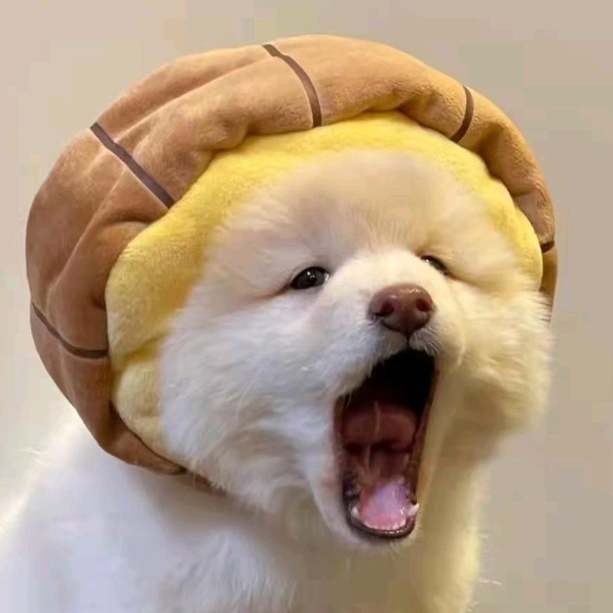 麒麟日记