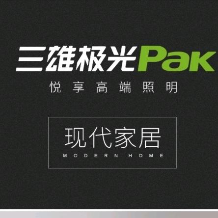社旗三雄极光照明