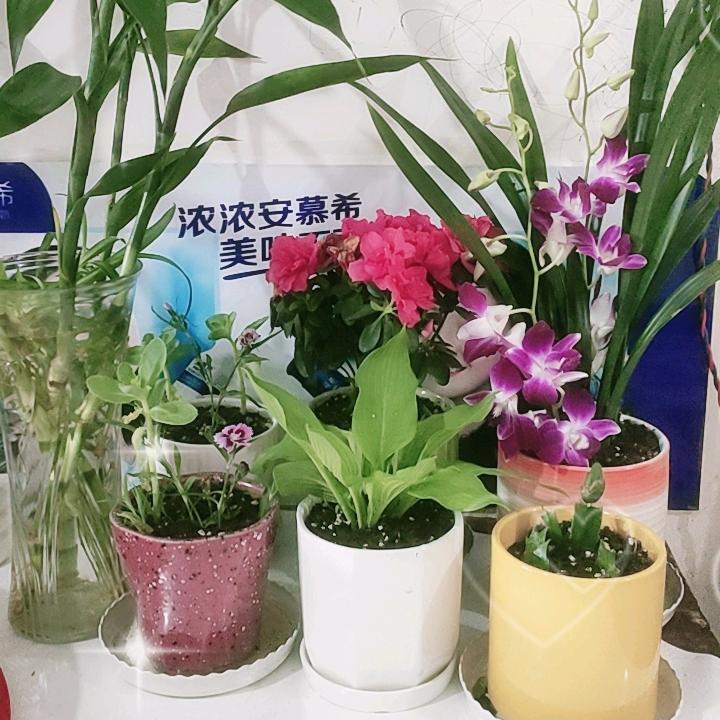贵州省，瓮安人，怎么开心怎么过。