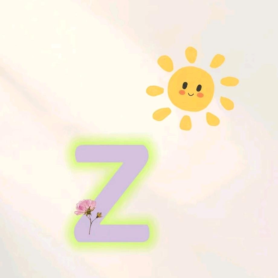 ☀️z～z☀️