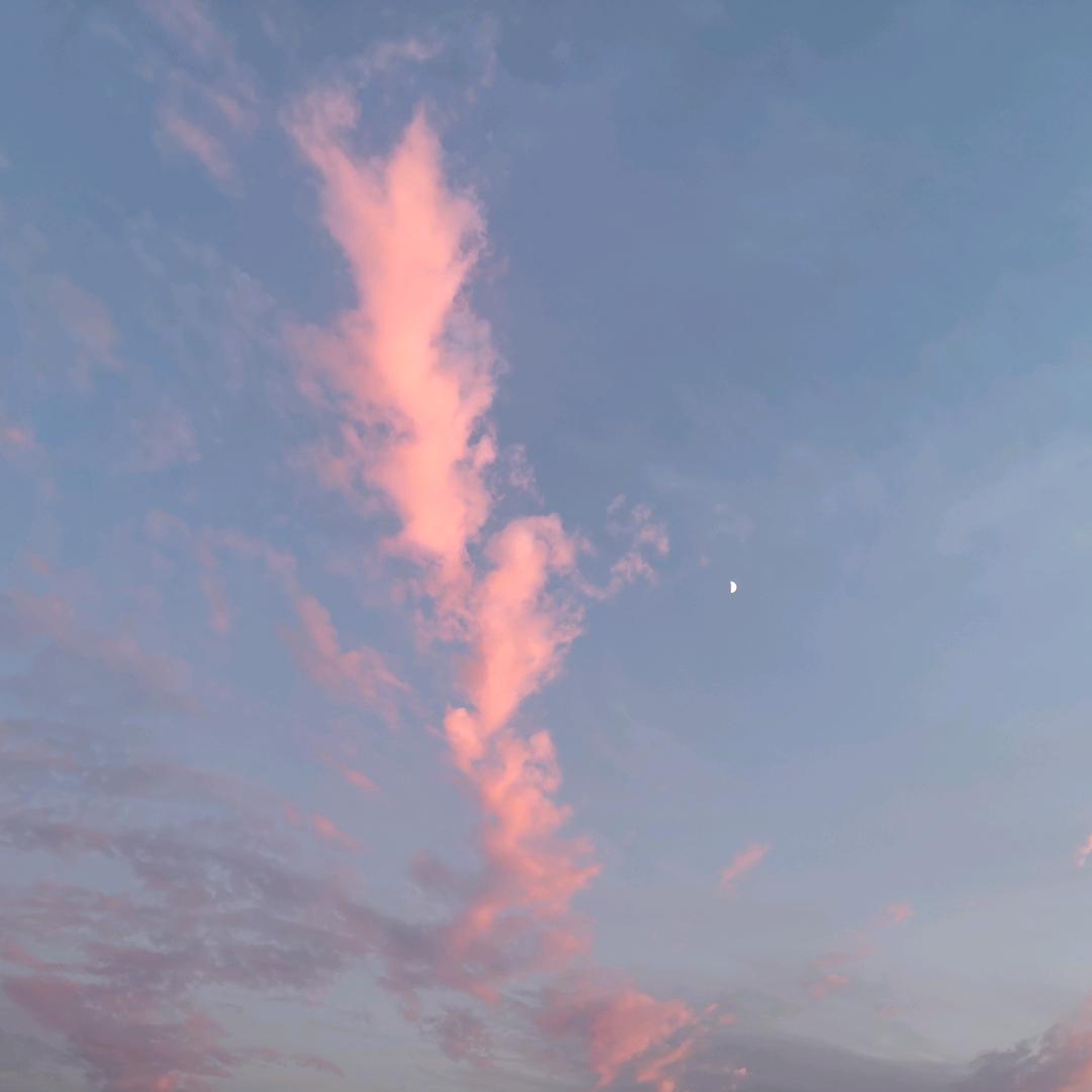 ζ