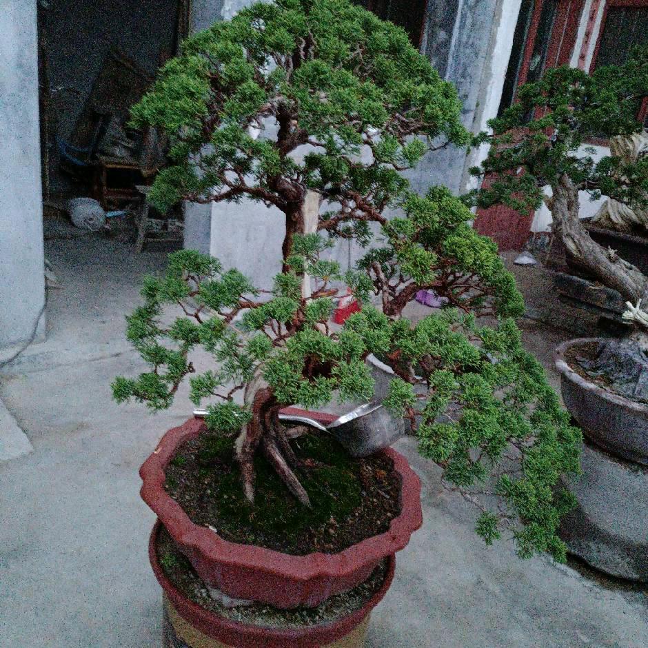 滕州杰哥