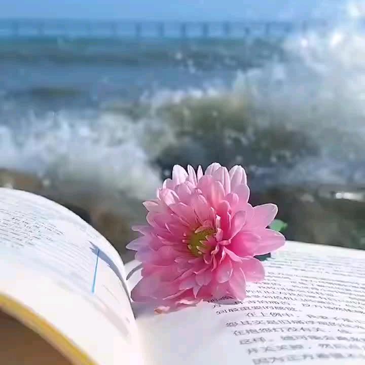 优雅转身