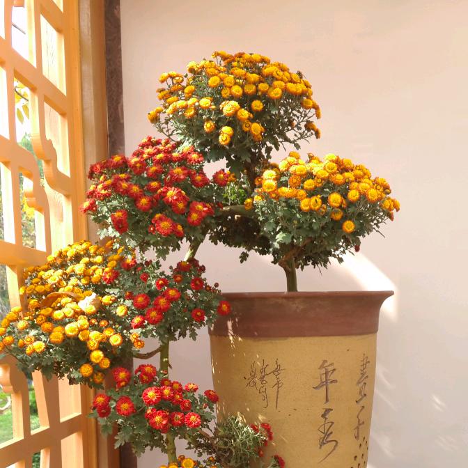 达道
