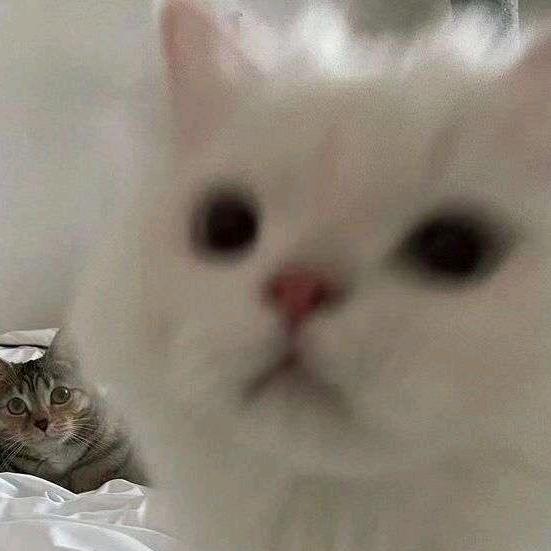 等天黑