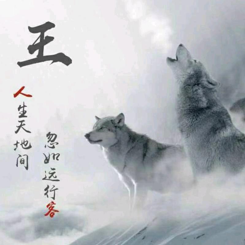 隔壁💕💘王哥