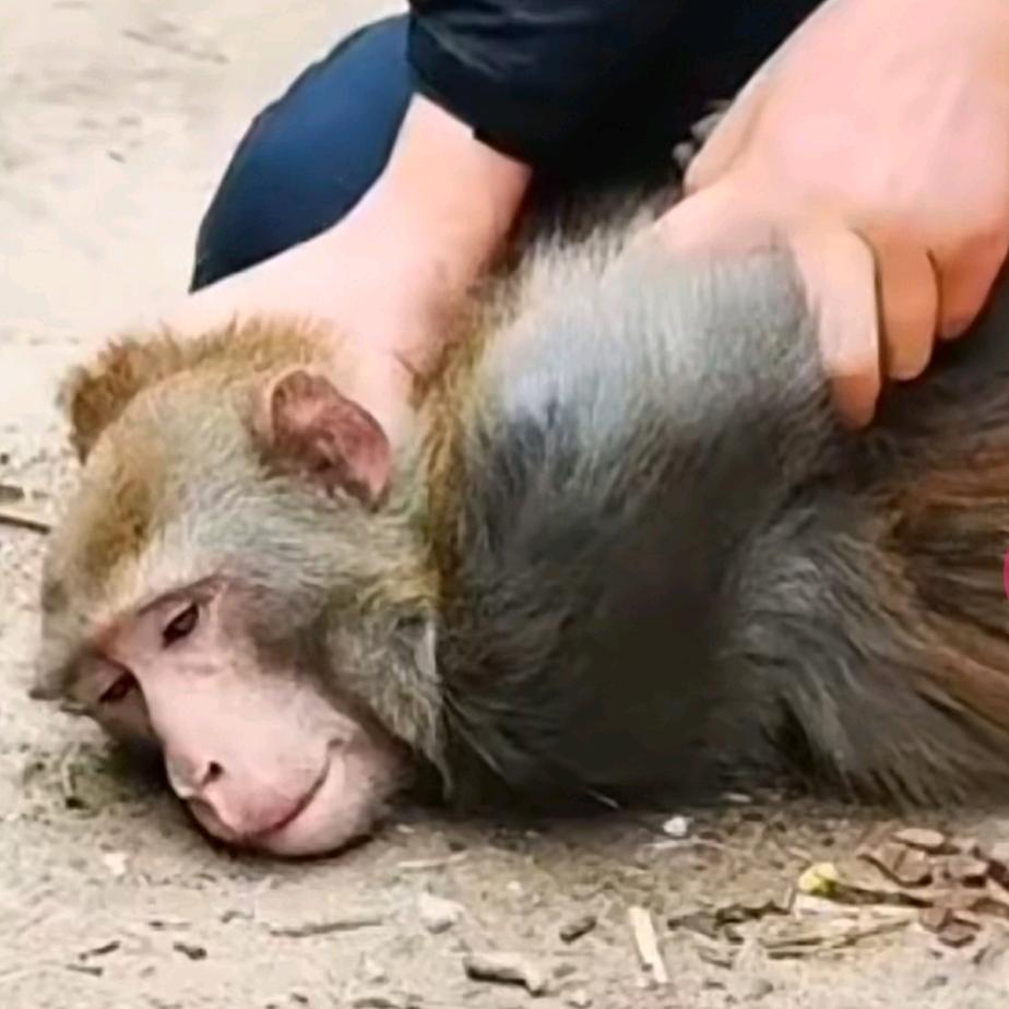 男人不做老实人
