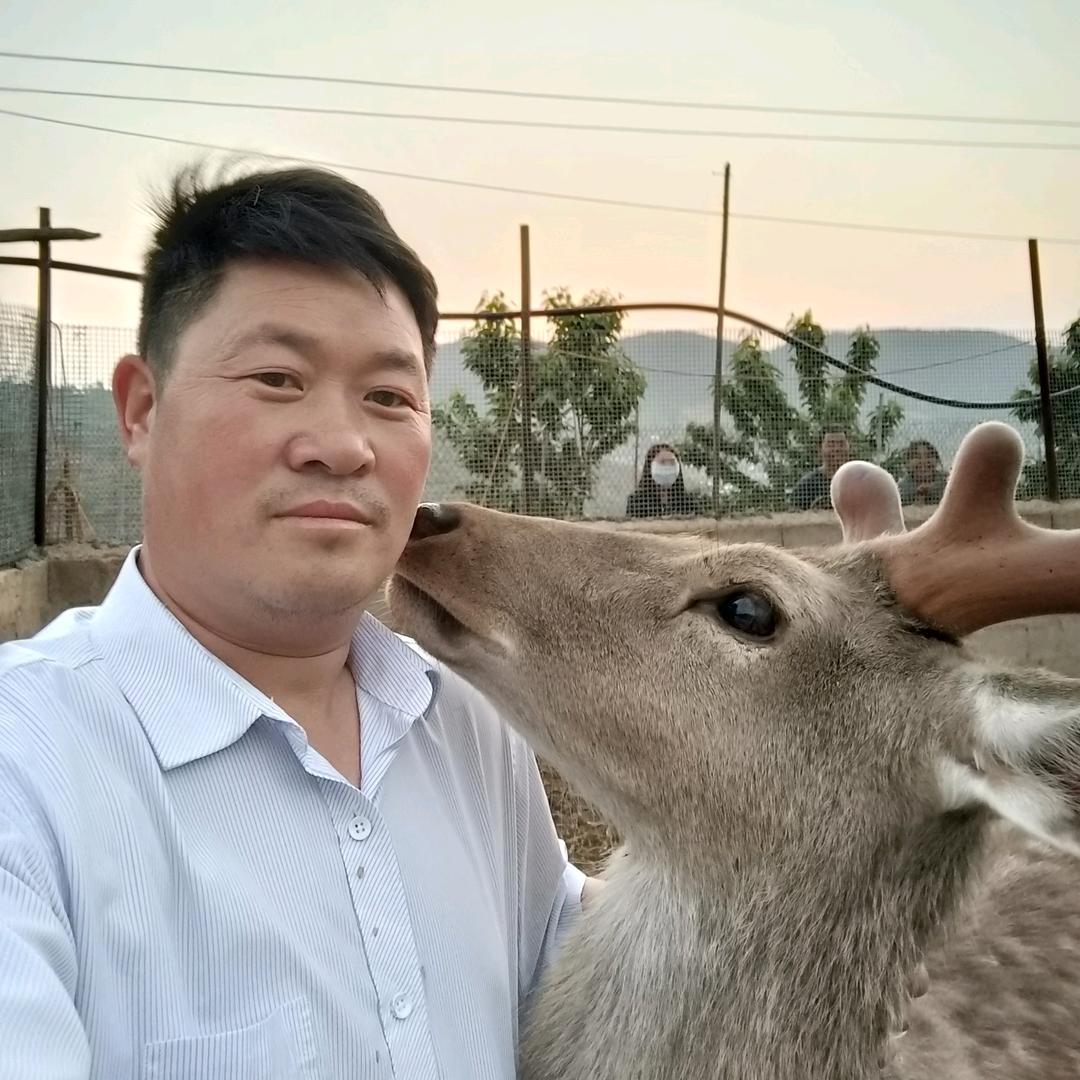 药山李二哥