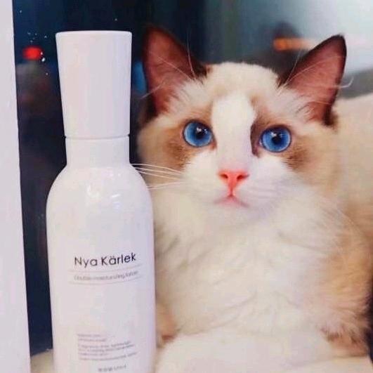 嘉嘉ming猫