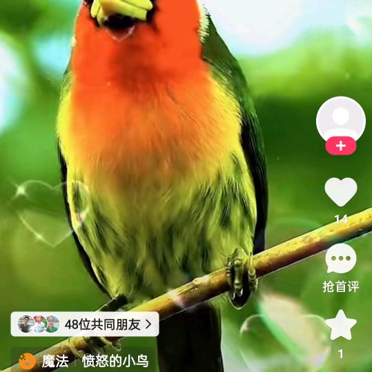 九月清晨