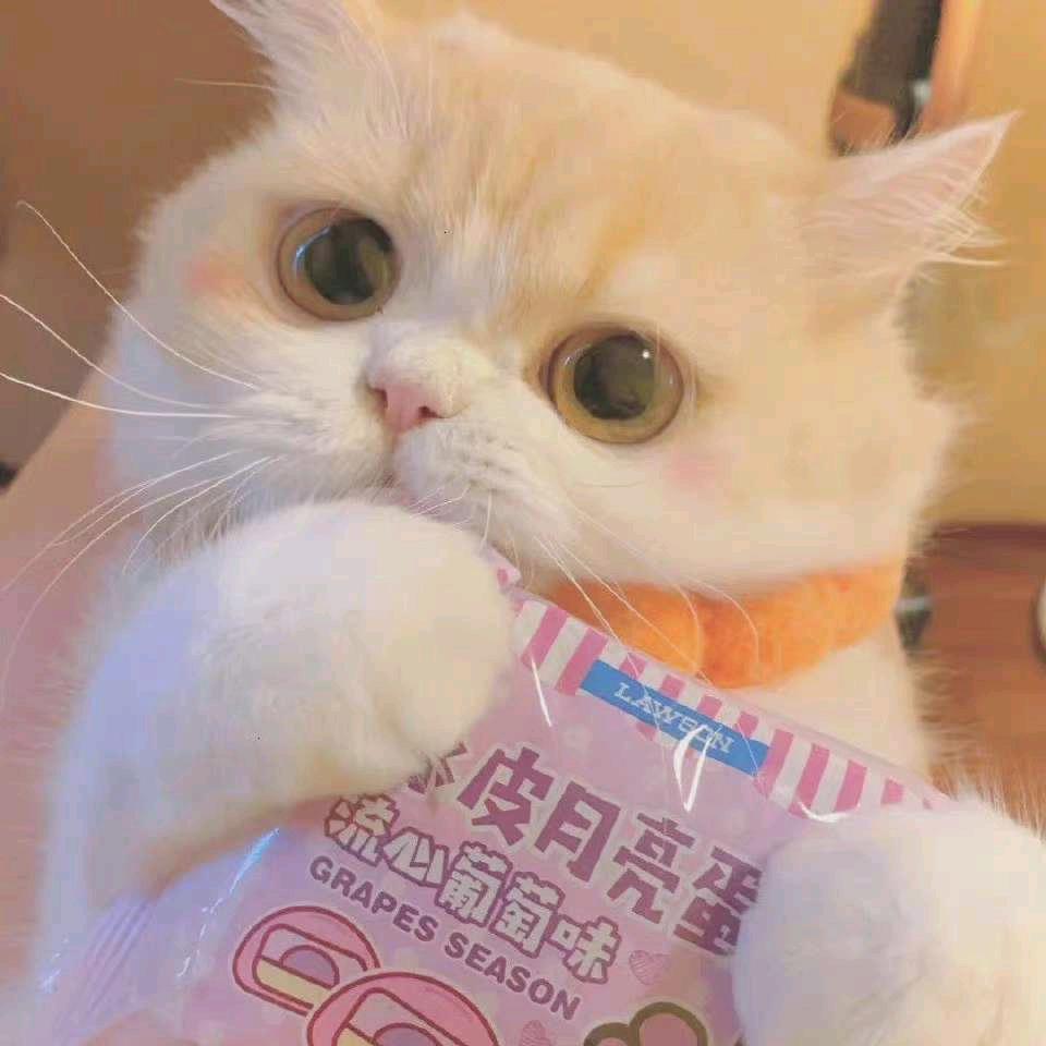 桀.