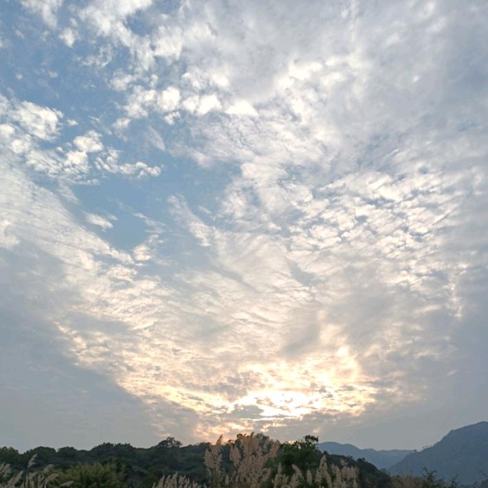 。。。。。。。。。。