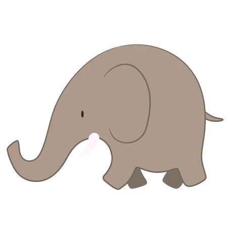 象geigei