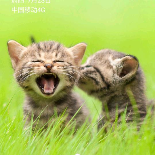来不及说再见