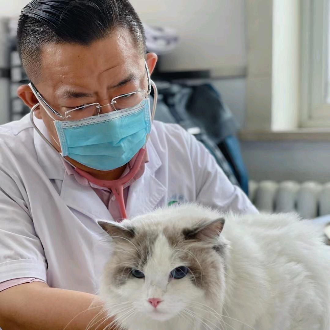 最后还是成了娄老师