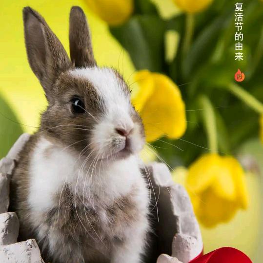 幸福奋斗。