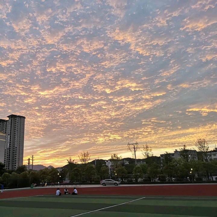 青松