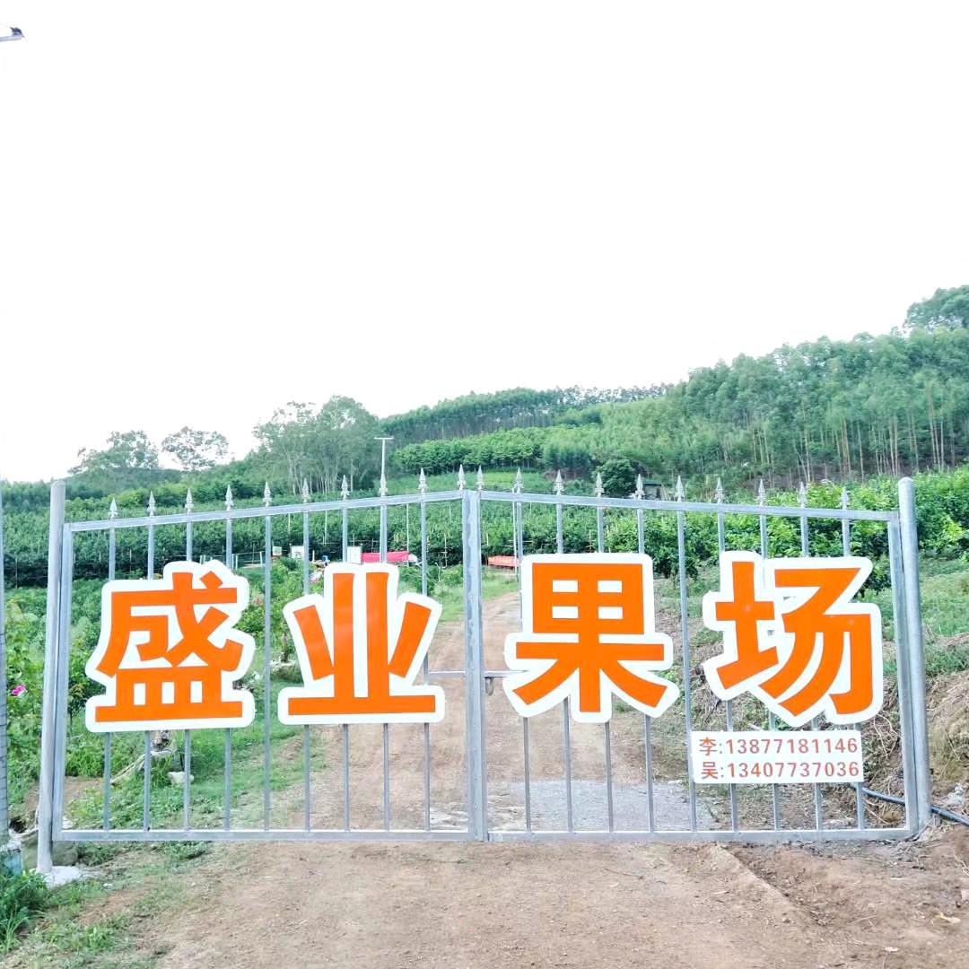 吴李取闹