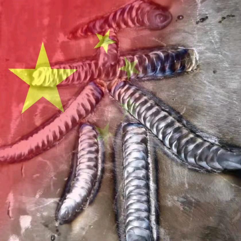 玫瑰不开了，