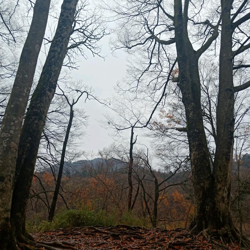 平凡