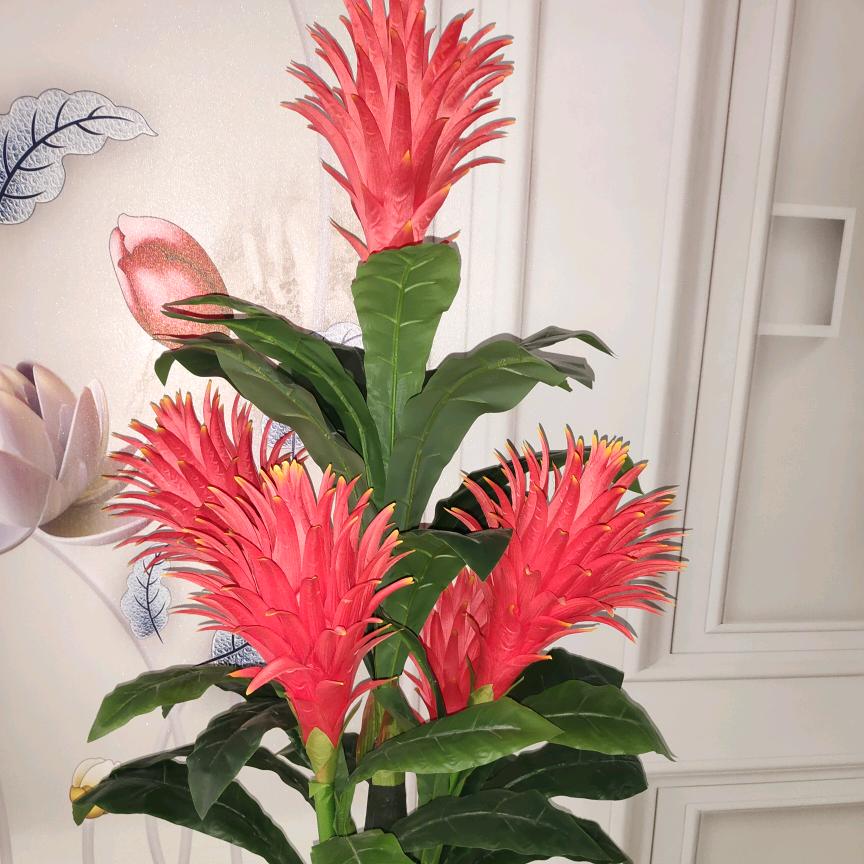 程先芳