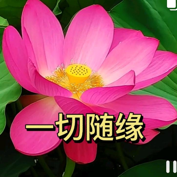 梅姐.