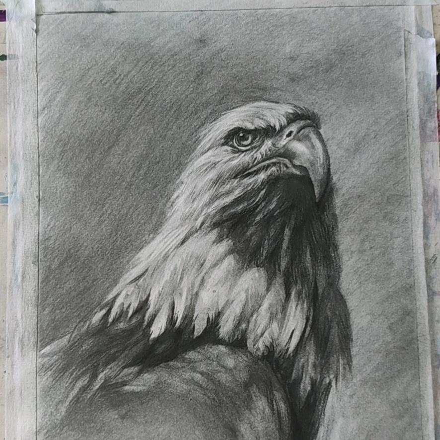 乐橙美术官方号