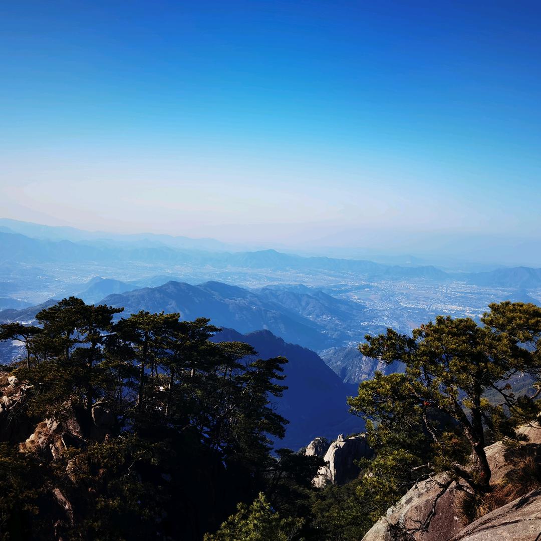廷