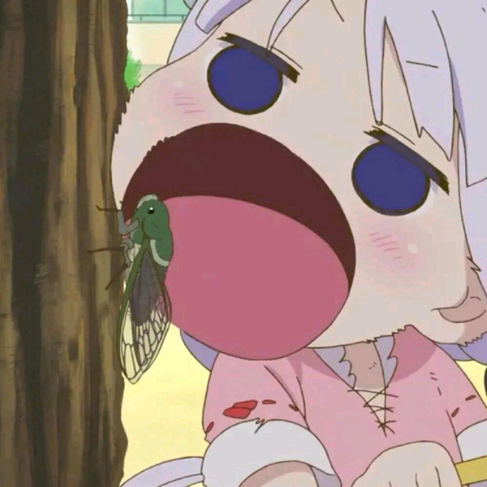 妮卡