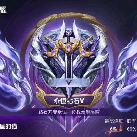 肚子上带星星的猫