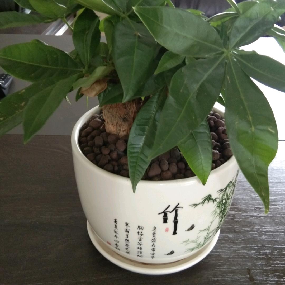 斜阳鲜生