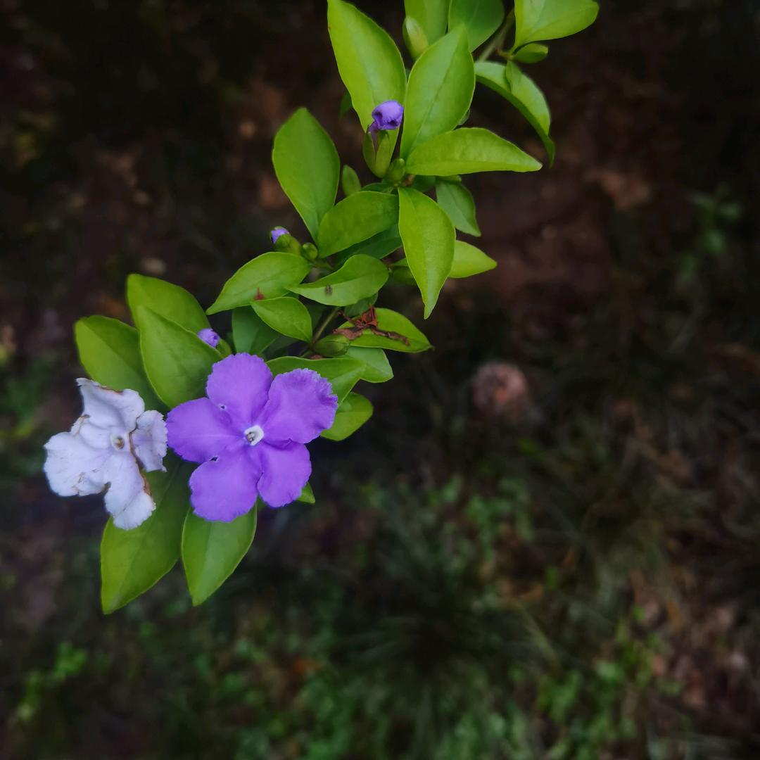 🌈一颗小螺丝钉®🚀🌈