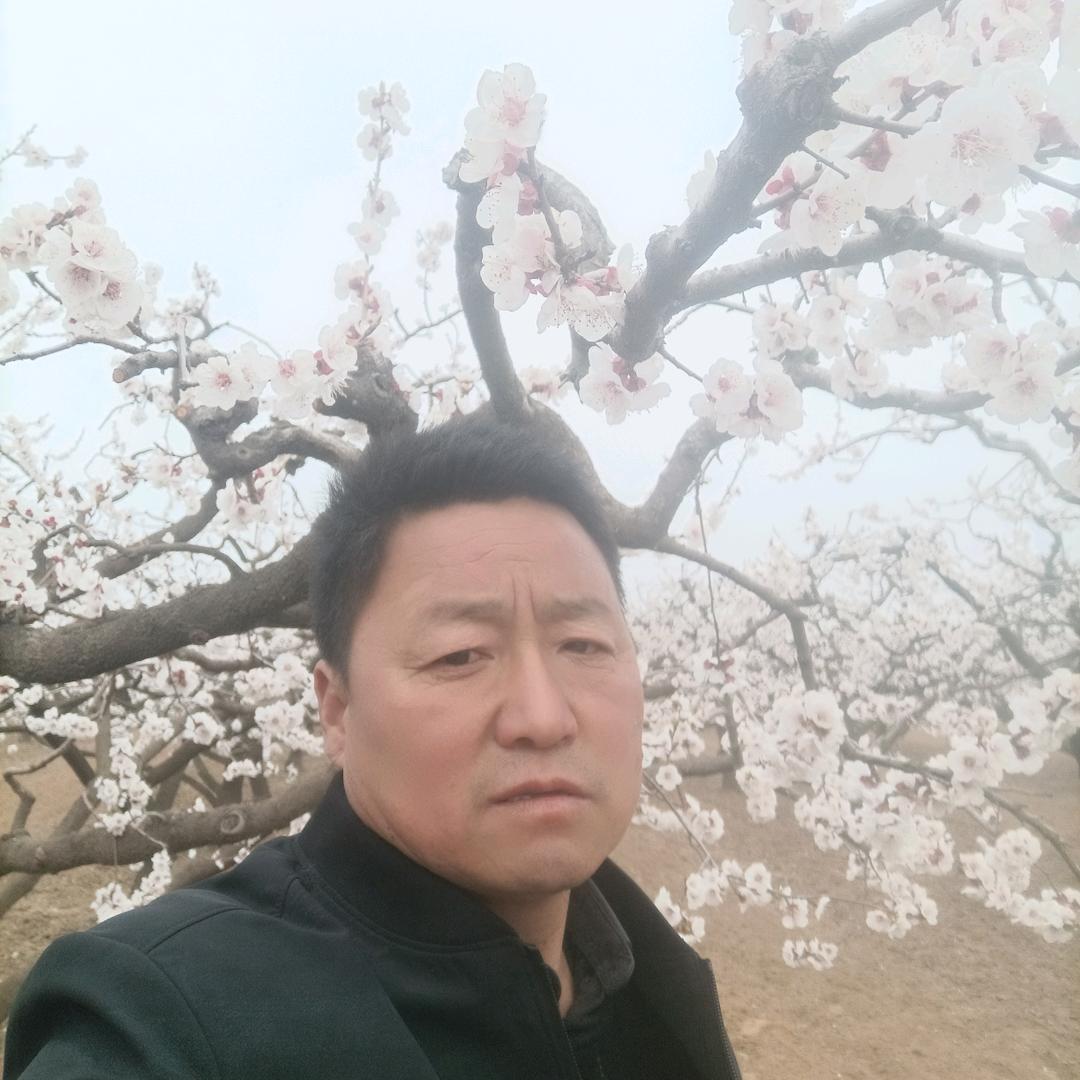 收购辣椒