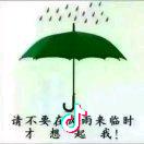 冬哥