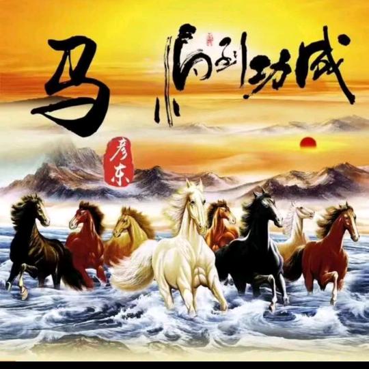 鑫哥