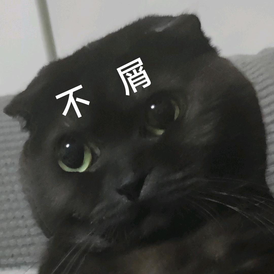 鸡蛋配不上西红柿