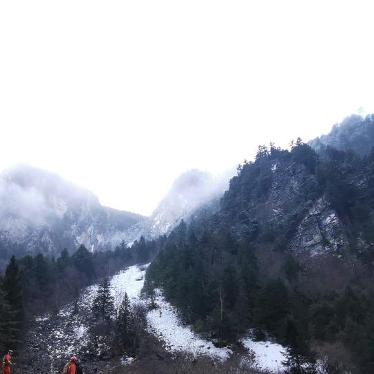 锋龙