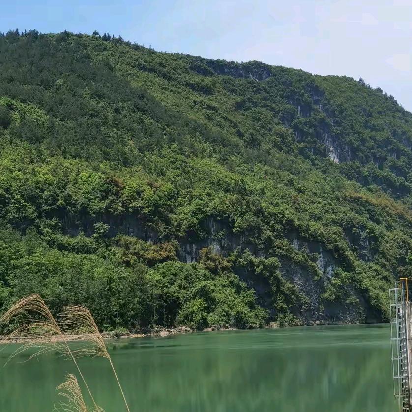 张牙舞爪