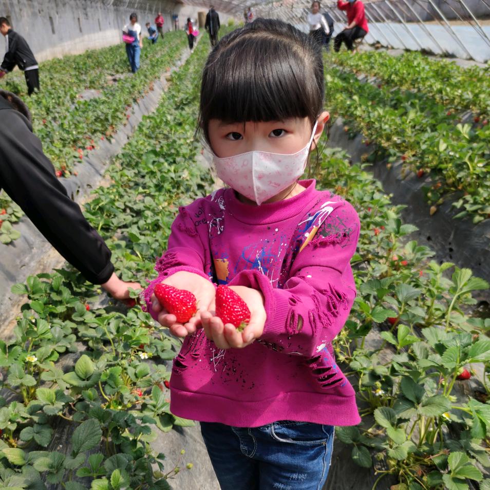 小满清真牛羊肉