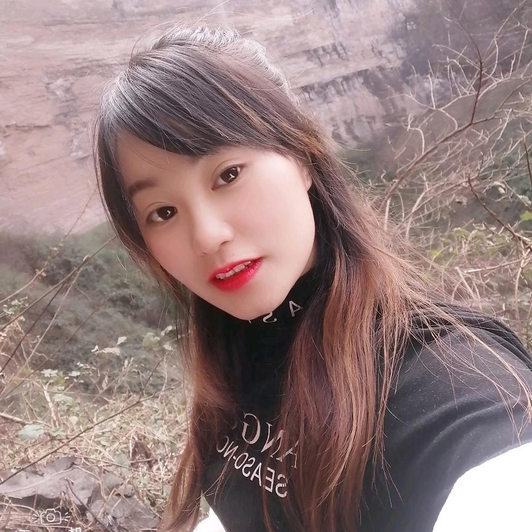 镇雄米线 酸汤猪脚