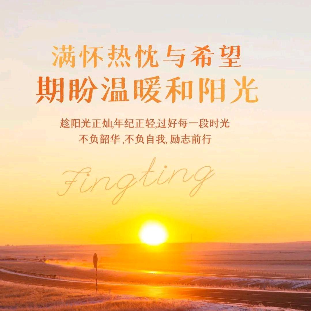 菜哥短剧