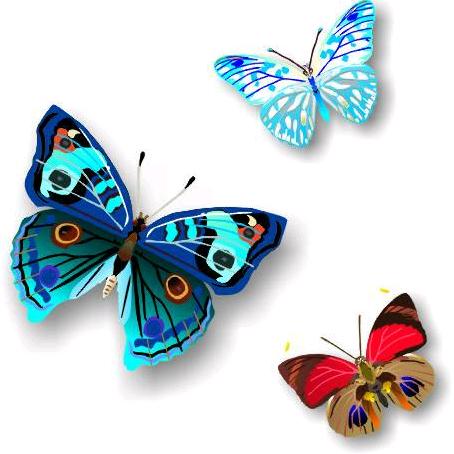 小太阳(*๓´╰╯`๓)♡