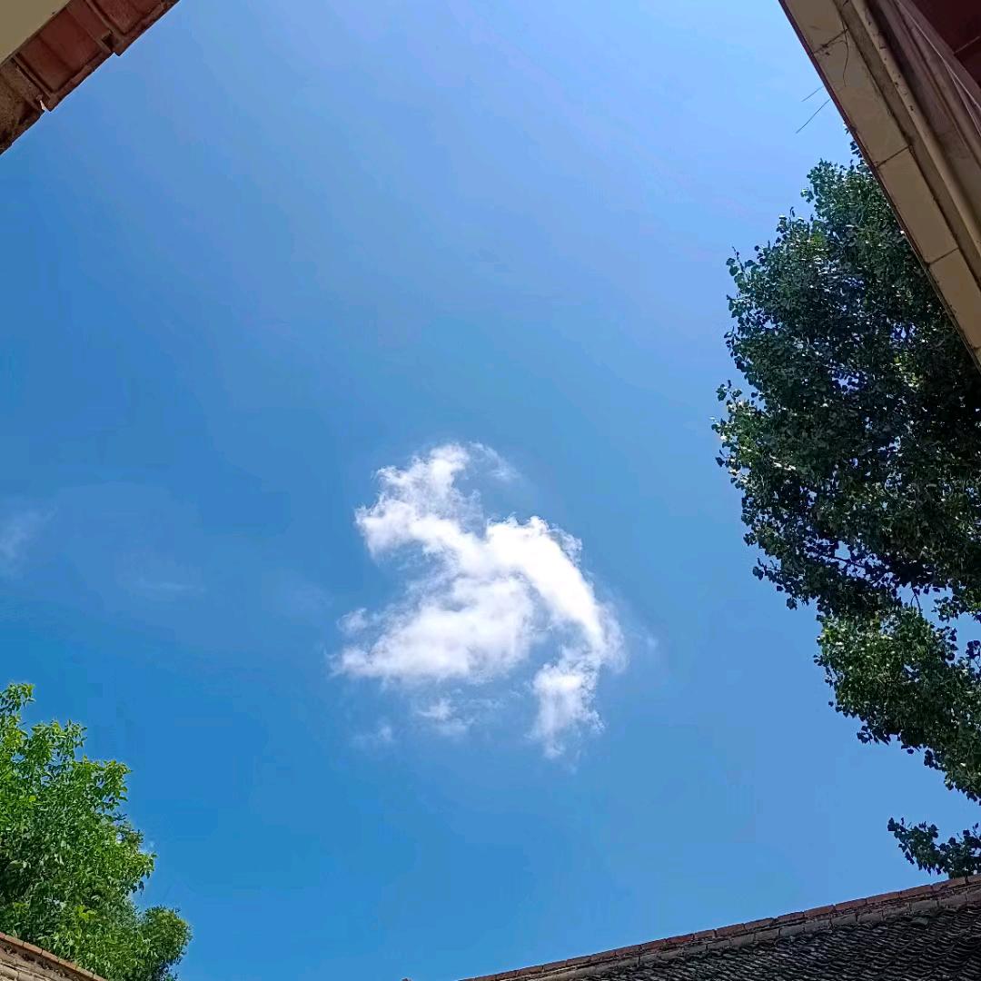 我有我的小思念