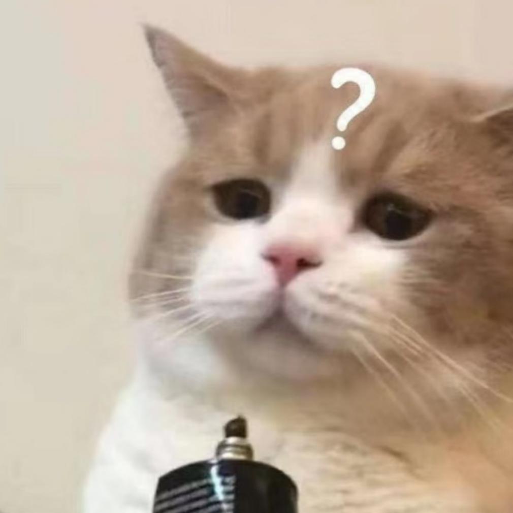 小熊炒猛犸象