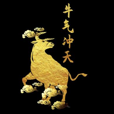 球球  孔凌浩