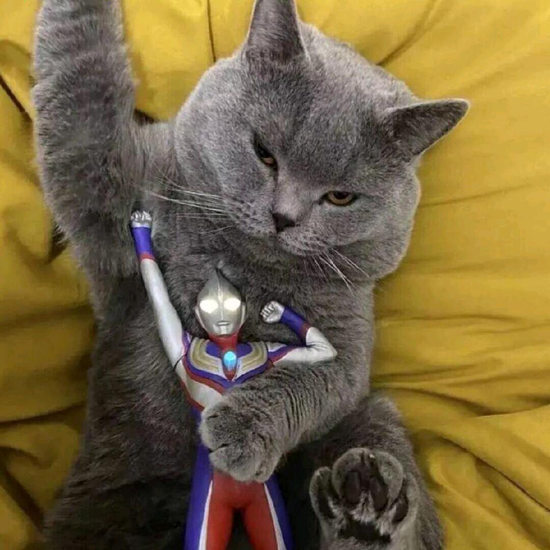 小丁～